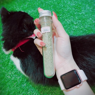 Cỏ bạc hà thành phẩm