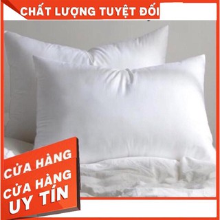 Combo 2 Ruột Gối Đầu Bông Gòn CAO CẤP