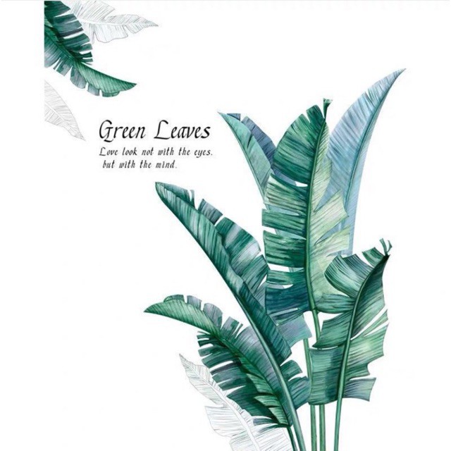 Decal trang trí tường - Lá Chuổi Xanh Green Leaves