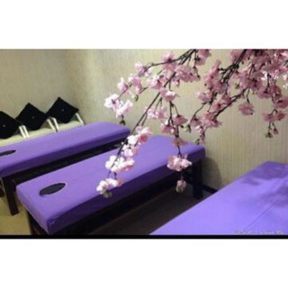 5ga bọc đệm màu ghi xám và 5 ga tím đậm kt 70*190 lỗ cách mép 20