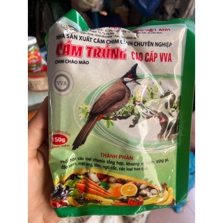 Cám Chào Mào Cao Cấp Vương Việt Anh