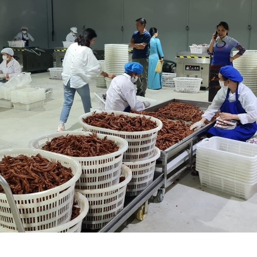 Bịch 50 Cái Chân Gà T.A.P / Chân Gà Cay Tứ Xuyên 32gr/40gr/50gr