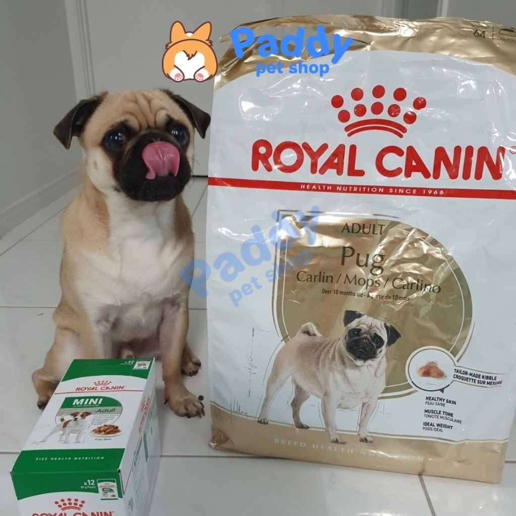  Hạt Royal Canin Pug Adult Cho Chó Pug Trưởng Thành