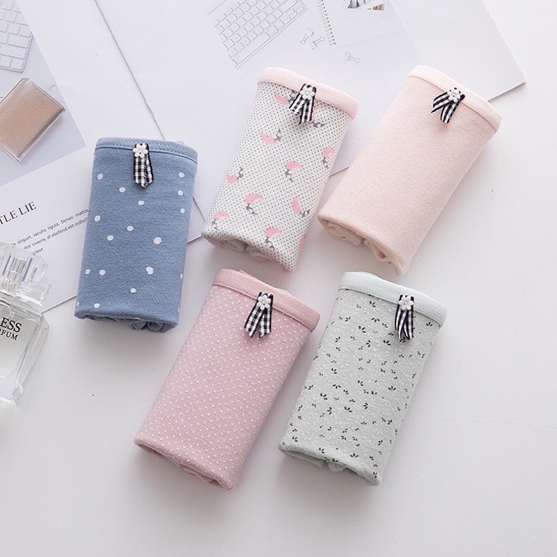 (Có chọn màu) Quần lót nữ cotton thun dễ thương thoáng mát PANSY - Bae Lingerie | BigBuy360 - bigbuy360.vn