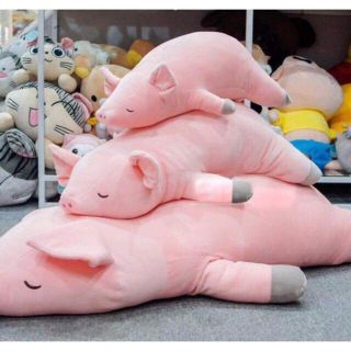 Gấu bông lợn lười 85 cm
