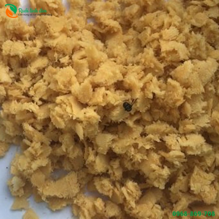 Trứng Ruồi Lính Đen - Gói 20 Gram