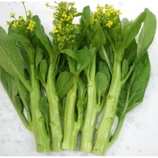 Hạt Giống Rau Cải Làn Hoa Vàng
