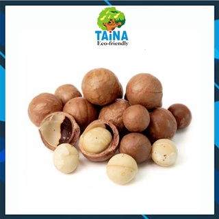 500g HẠT MACCA ĐĂK LĂK nứt vỏ loại 1 - Kèm đồ khui - Có giấy CNATTP