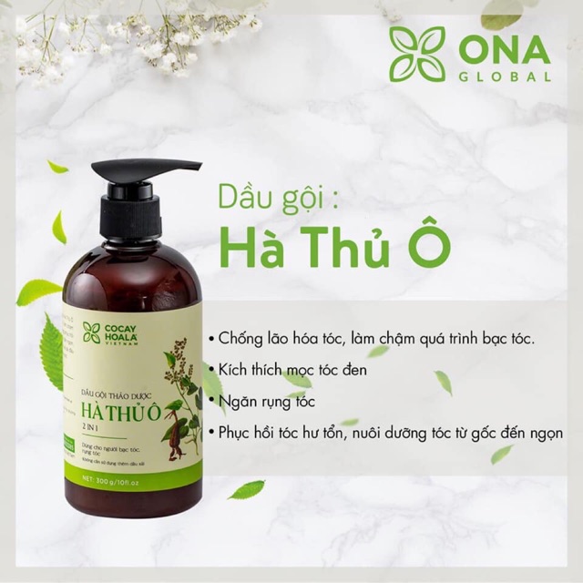 Dầu gội Hà Thủ Ô 2 in 1