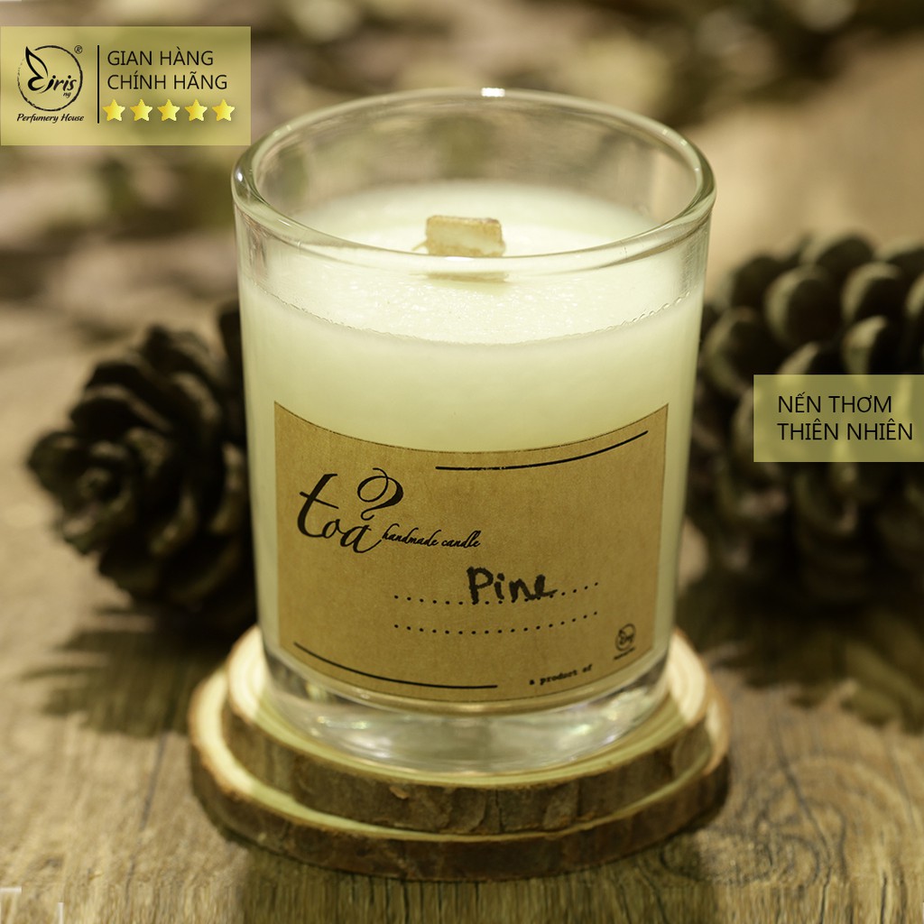 Nến đơn hương Gỗ Thông | Tỏa Handmade Candle