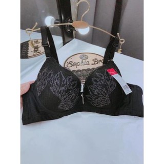 Aó lót 3 khuy gen mỡ lưng mút mỏng