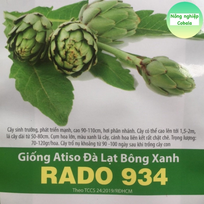 Hạt Giống Atiso Đà Lạt Bông Xanh (RADO934) 2gr