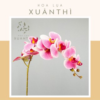Cành lan hồ điệp decor trang trí - 1 cành 9 bông - Hoa giả hoa lụa trang trí Xuân Thì - HL06
