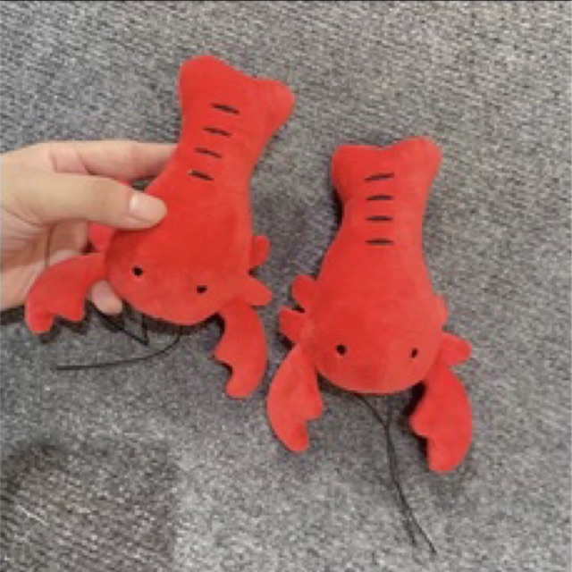 Đồ chơi nhồi bông chíp chíp  dễ thương dành cho thú cưng - 4pets official