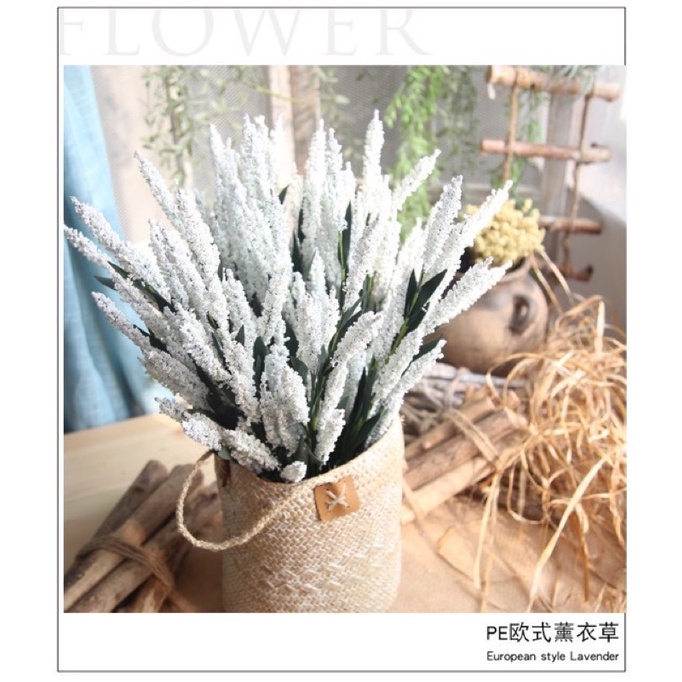 Cành hoa Lavender -oải hương siêu đẹp