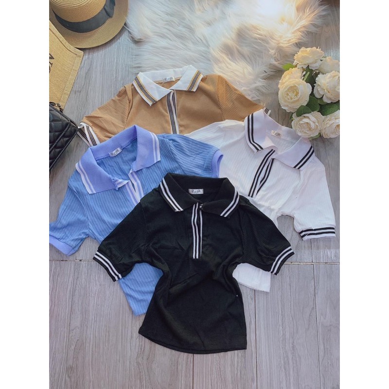 áo thun croptop có cổ (hình chụp thật)