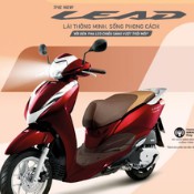 TEM SƯỜN HONDA LEAD 125 MÀU ĐỎ