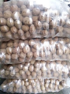 Quả Óc chó - Quả của các vị thần
