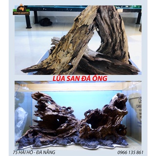 LŨA SAN ĐÁ - DÒNG LŨA CỰC ĐẸP CHO LAYOUT NATURAL