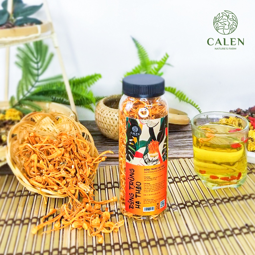 Trà Đông Trùng Hạ Thảo Sấy Khô Giúp Bồi Bổ Cơ Thể, Nâng Cao Sức Khỏe