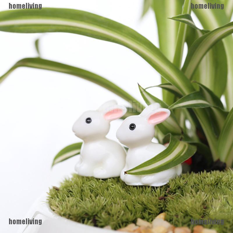 Set 2 Đồ trang trí Thỏ Mini Trang Trí Sân Vườn