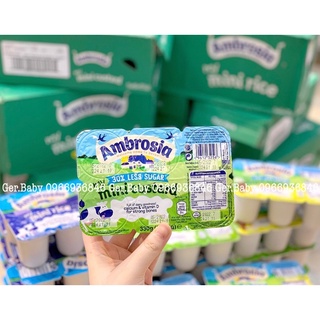Váng sữa Ambrosia custard - Gerbaby