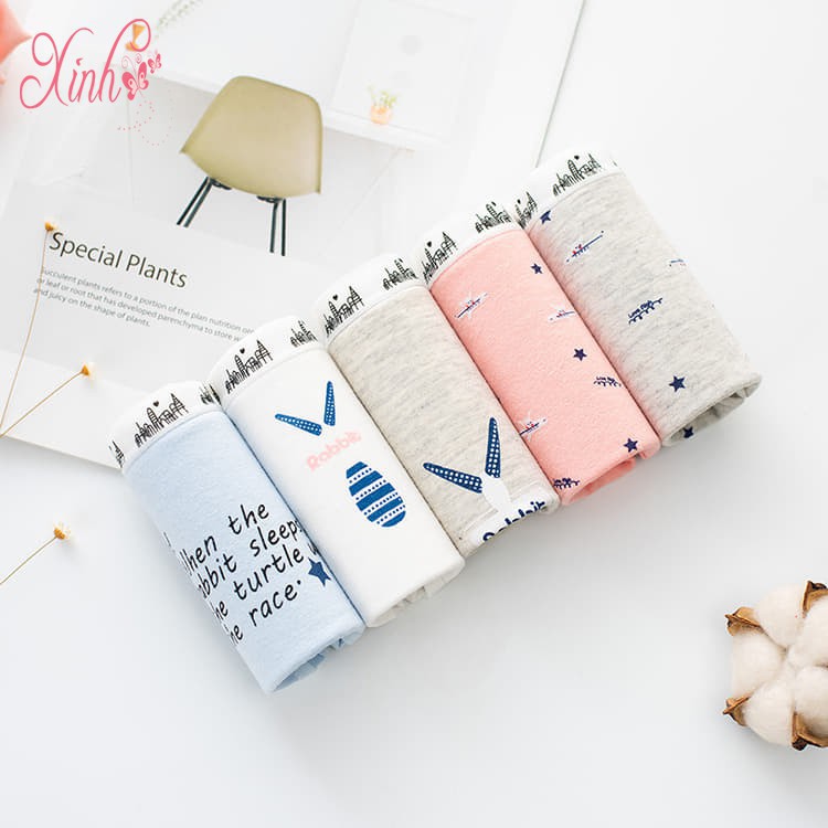 Set 5 Quần Lót Trong Túi Zip Kute Sang Chảnh S10