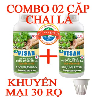 Combo 2 cặp lá