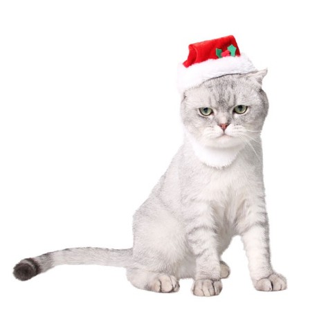 Mũ Giáng sinh Noel cho chó mèo/thú cưng - Christmas hat for pet dog cat