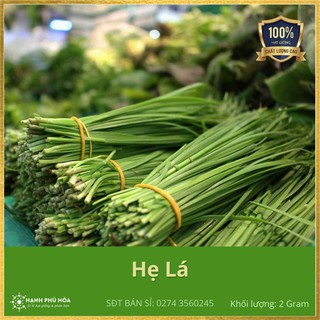 Hạt giống Hẹ Lá Cao Sản Nhật Bản SV - 2g/Gói -Tỉ Lệ Nảy Mầm Cao, Thu Hoạch Quanh Năm, Ăn Ngon Ngọt, Tốt Cho Sức Khỏe