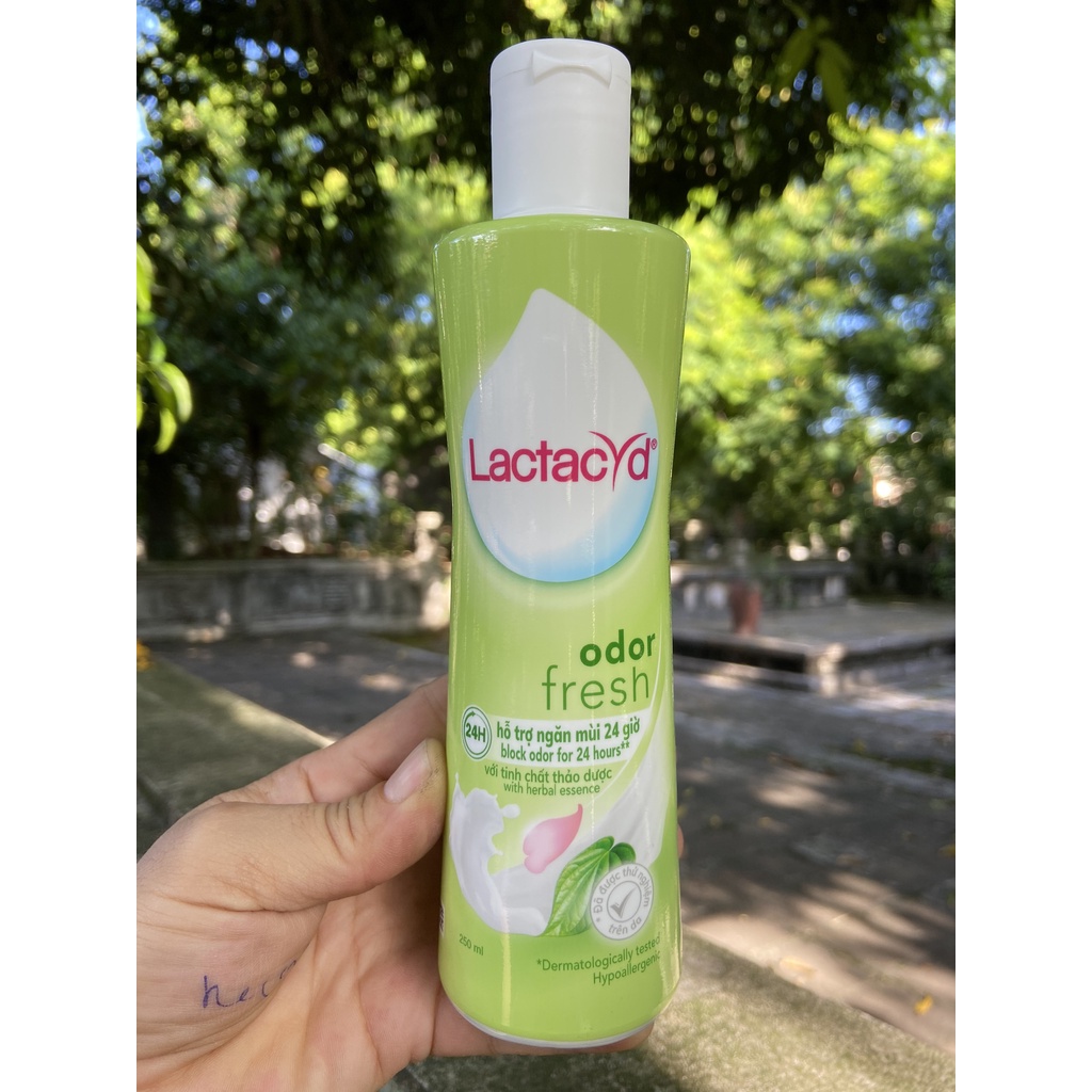 DUNG DỊCH VỆ SINH PHỤ NỮ LACTACYD ODOR FRESH CHIẾT XUẤT LÁ TRẦU 250ML