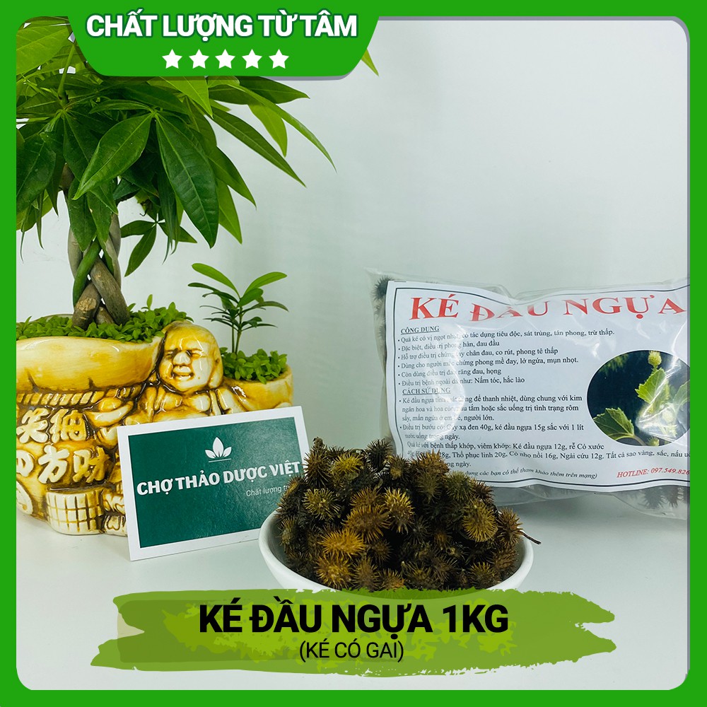 [Giá Sỉ] 1kg Ké Đầu Ngựa (Có 2 loại Ké trơn và Ké có gai)