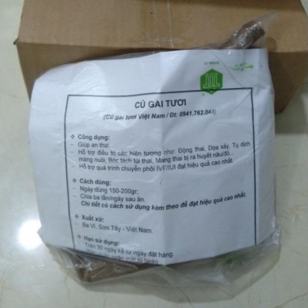 [giá sỉ] 3kg Củ gai tươi