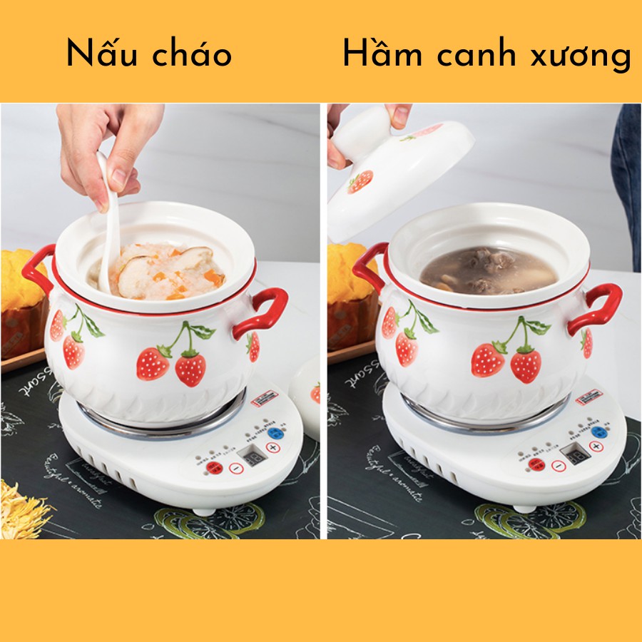 Thố chưng yến điện phiên bản mới nhất 2021 - nồi hầm mini đa năng - đồ dùng phòng bếp tiện ích