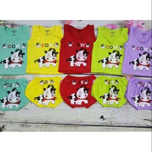 Combo sỉ chip bò