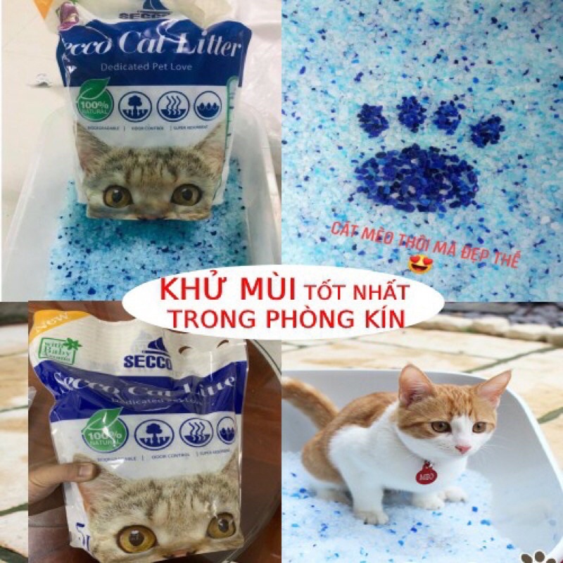 [TIẾT KIỆM]Cát THỦY TINH Secco &amp;KitKat 5Lít Siêu Rẻ-Siêu Tiết Kiệm- Được Tin Dùng Nhiều Nhất Hiện Nay.
