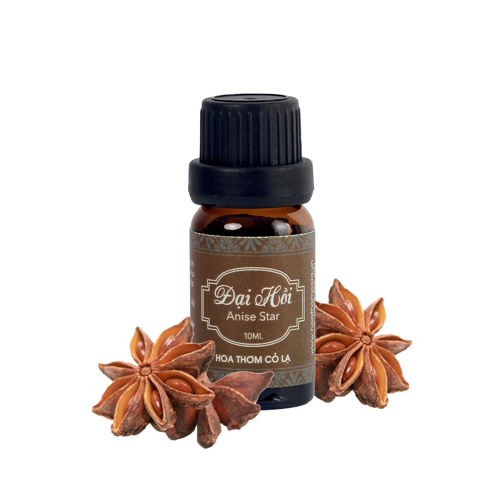 Tinh Dầu Hồi (Đại Hồi)- Anise Star Essential Oil - Hoa Thơm Cỏ Lạ