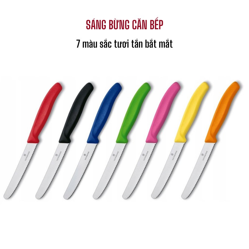Dao răng cưa gọt hoa quả Thụy Sĩ  11cm cán nhựa nhiều màu