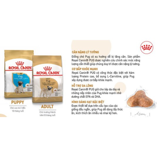 Hạt Royal Canin Pug Adult Cho Chó Pug Trưởng Thành