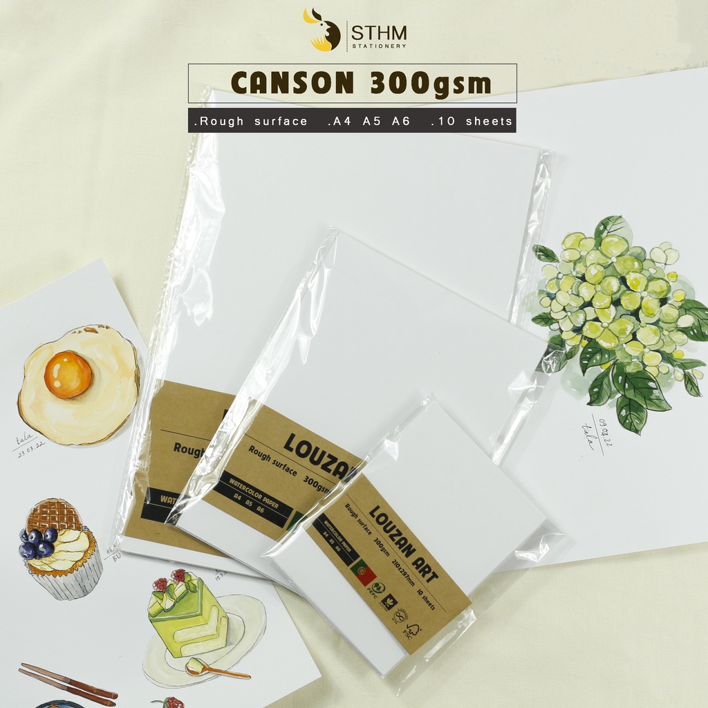 Giấy vẽ màu nước - Canson 300gsm vân rough - Louzan Art - Vẽ màu nước, marker touchliit - STHM stationery