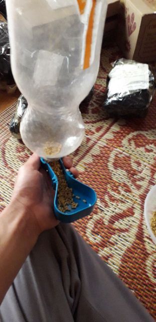 Máng ăn tự động sử dụng cho cả chim