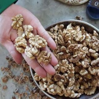Nhân óc chó chín 1kg