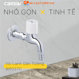 Vòi lạnh gắn tường caesar w037c wp037c, vòi xả xô gạt ren size 21mm, cam kết chính hãng