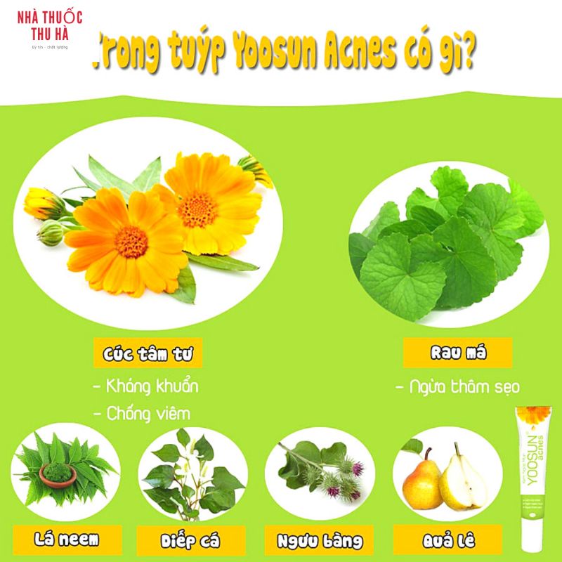 Kem Yoosun acnes -ngừa mụn, thâm sẹo