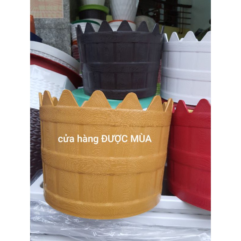 chậu hàng rào kiểu tròn đường kính 30cm.