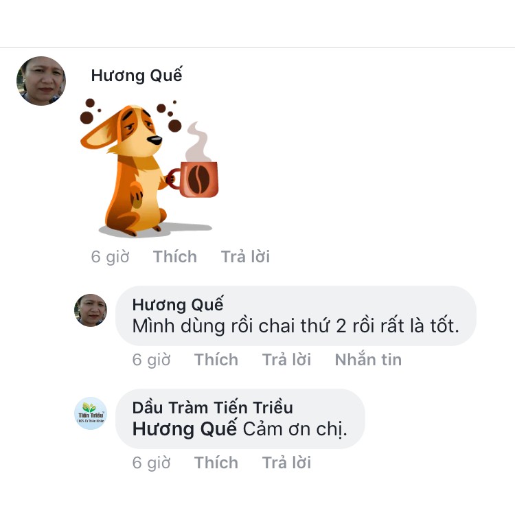 Tinh dầu tràm Huế nguyên chất Tiến Triều