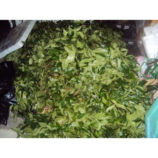 Lá mắc mật khô 500gr