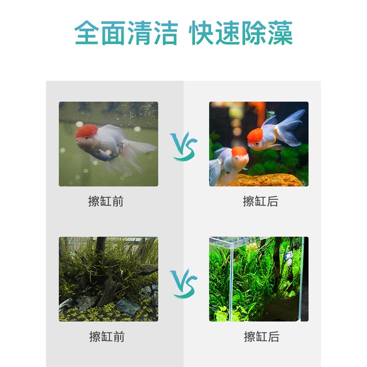 Cạo rêu nam châm cho bể cá