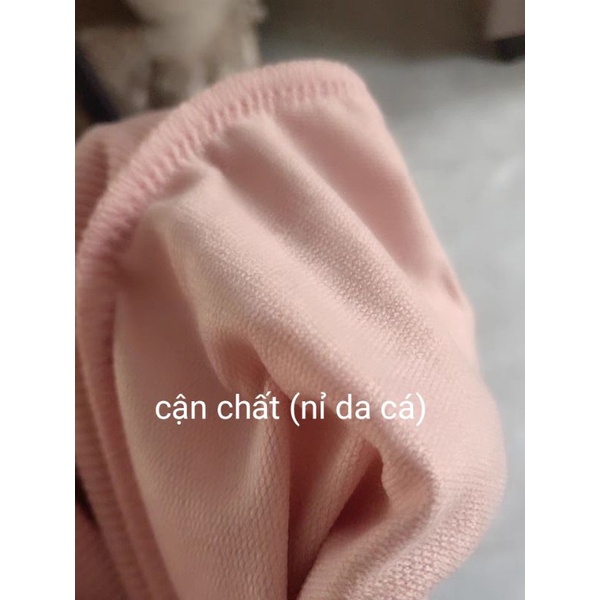 Áo Sweater Basic Chất Nỉ Da Cá Phong Cách Hàn Quốc