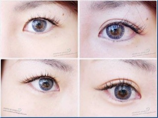 DÁN KÍCH MÍ LƯỚI 240 MIẾNG
